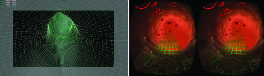 Human Body Scans in Virtual Reality