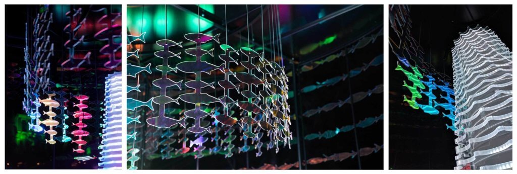 Close ups of the Revive The Reef installations at Vivid Sydney 2018