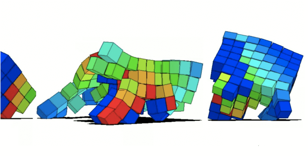 Cornell University's computer algorithm mimics biological evolution